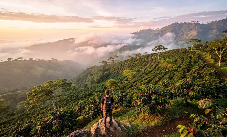 Un randonneur observe une vallée de Boquete avec des collines verdoyantes, des plantations de café, la brume matinale et la lumière dorée de l’aube.