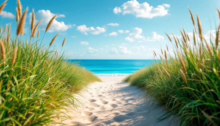 Chemin bordé d’herbes et de fleurs longeant la côte à Strouanne, avec vue sur l’horizon marin.