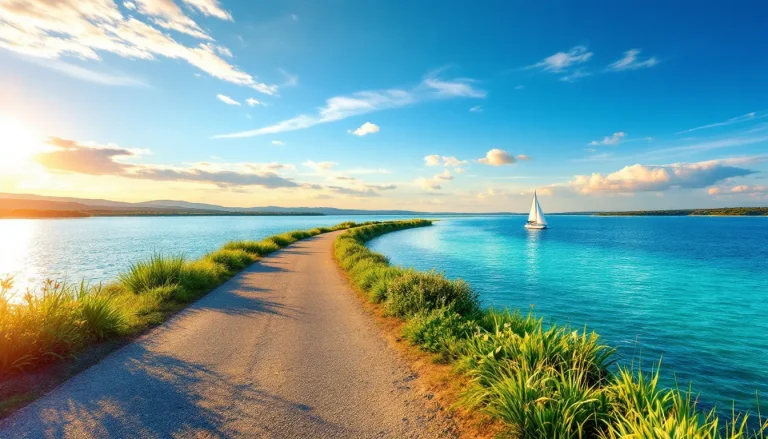 Chemin de cyclisme serpentant le long d'un étang bordé de végétation.