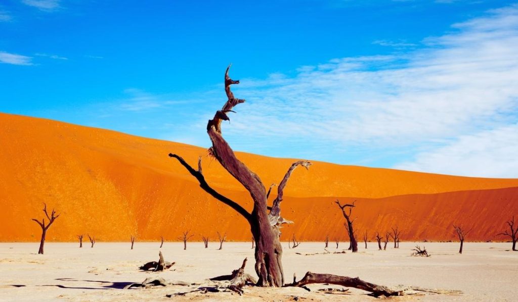 Paysage Désertique eb Namibie