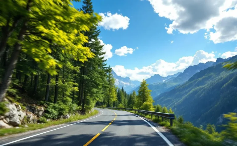 Passage verdoyant du Vizzavona, bordé d'arbres et de fougères luxuriantes.