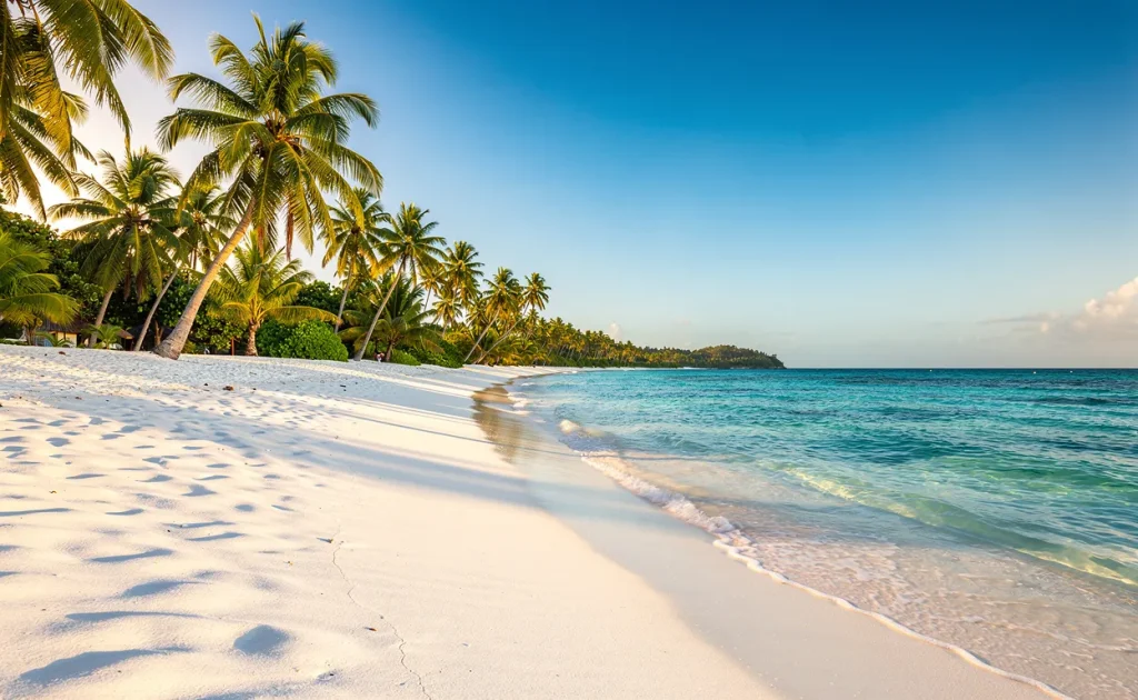 Plage de sable blanc à Zanzibar bordée de palmiers et d’eaux turquoise sous un ciel bleu ensoleillé.