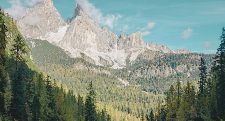 Falaises calcaires escarpées d'un massif alpin entourées de forêt de conifères sous un ciel bleu
