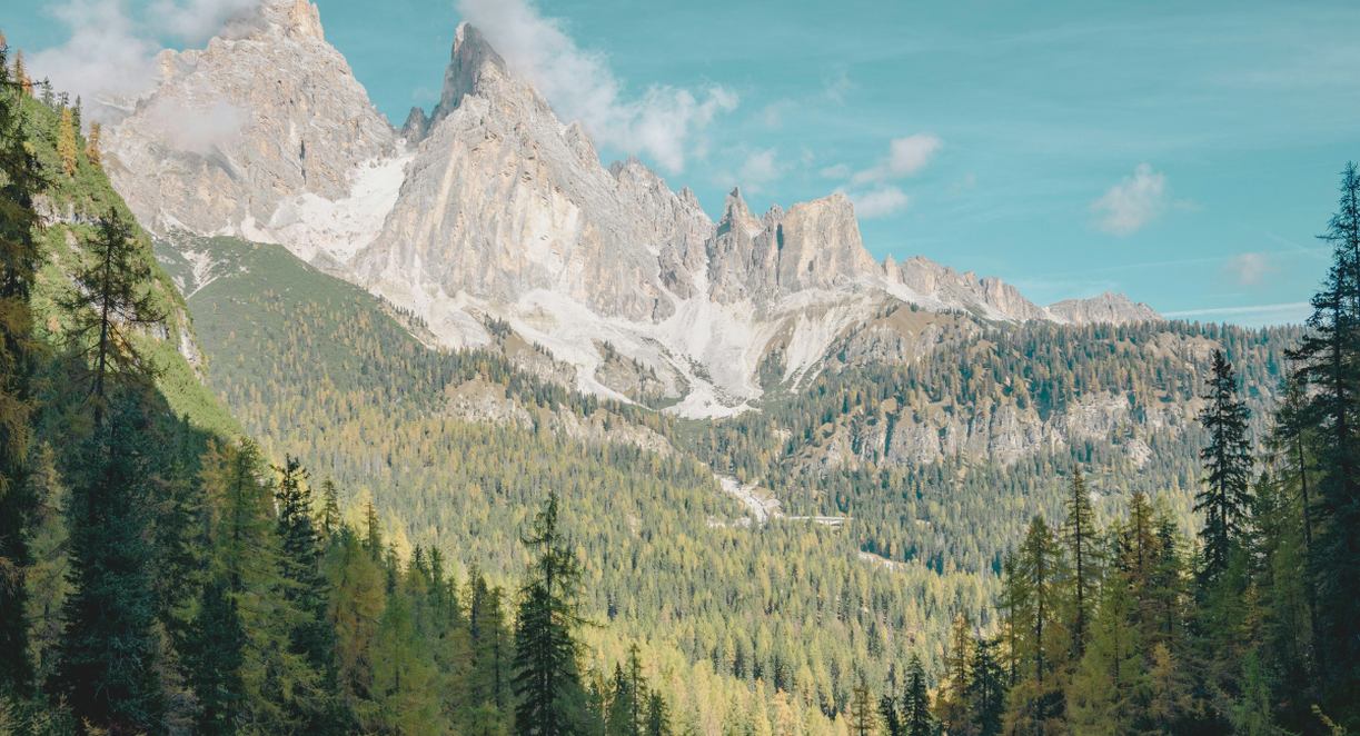 Falaises calcaires escarpées d'un massif alpin entourées de forêt de conifères sous un ciel bleu