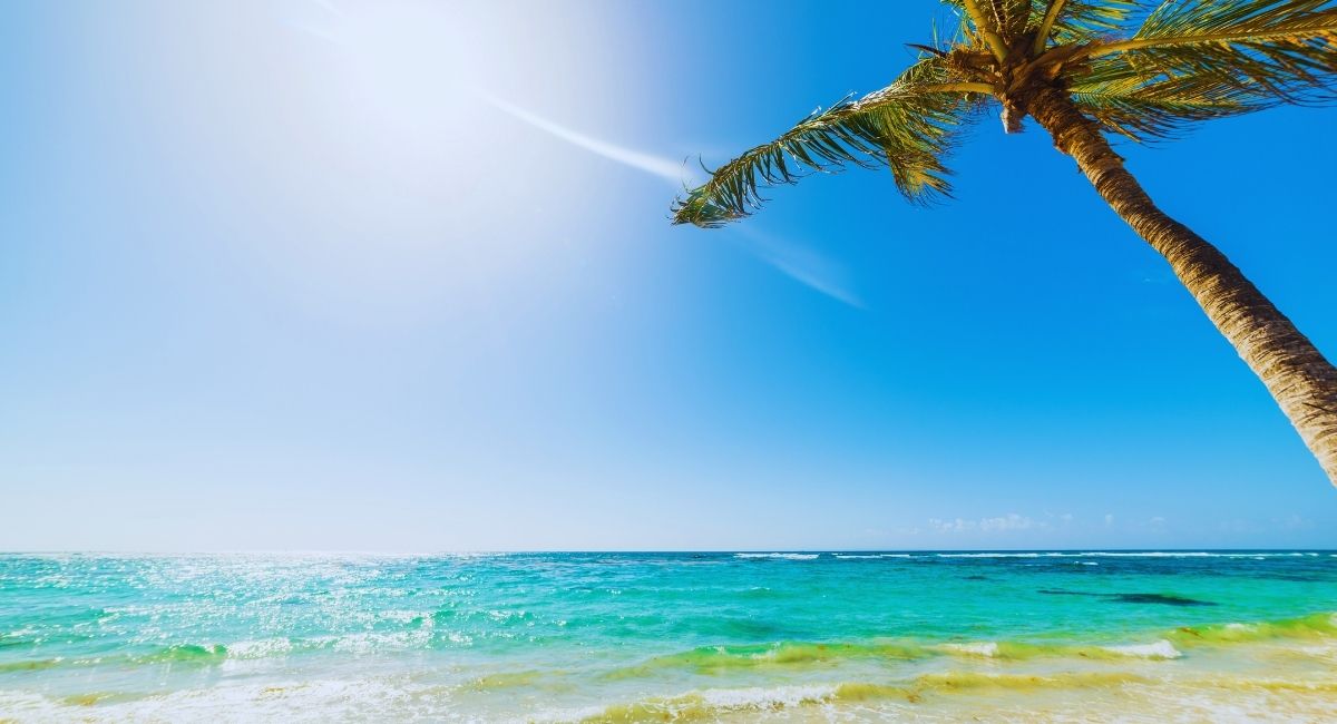 Plage de sable blanc et eaux turquoise en Guadeloupe