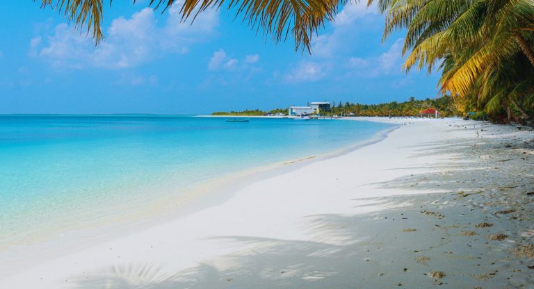 Plage ensoleillée aux Maldives avec eaux turquoise et palmiers tropicaux